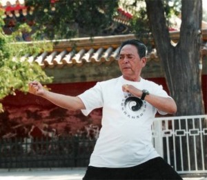 Tai Chi Chuan, Großmeister Feng Zhi-Qiang