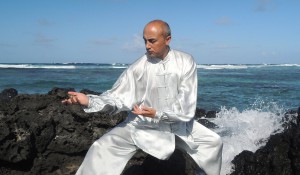 Tai Chi Chuan, Meister Sarafnia